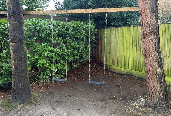 Swing's Tree swing's