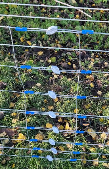 Stock fence repair Stock fence repair