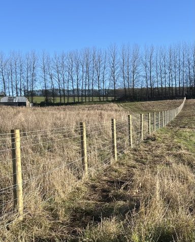 Stock fence Stock fence